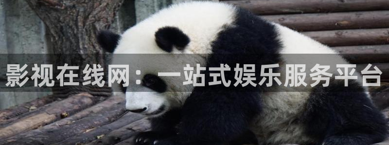 在线观看窝窝影院