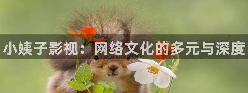 窝窝影院电视剧在线观看