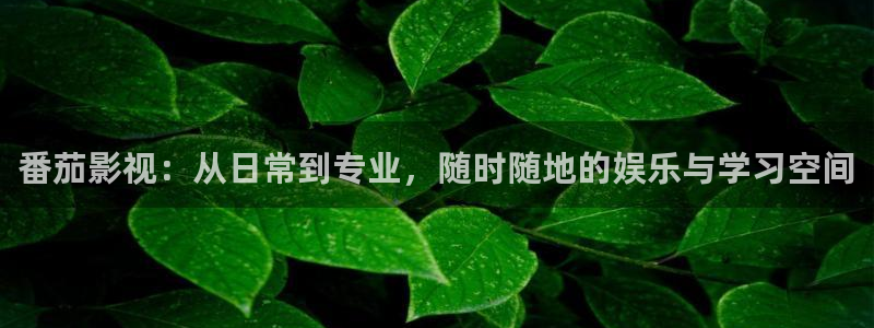 窝窝影院午夜看片爽爽97