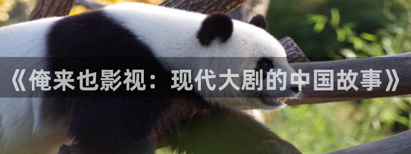 窝窝影院在线观看免费