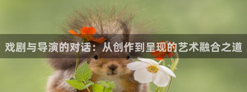 窝窝影院热门电视剧有哪些